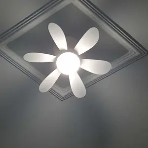 Foto de cliente: Luz e ventila no mesmo lugar