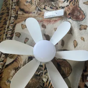 Foto de cliente: Controle remoto mudou a rotina